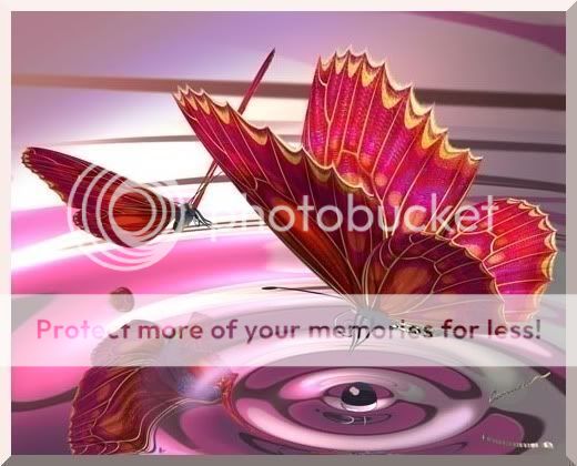 Butterfly Drop Pictures, Images and Photos