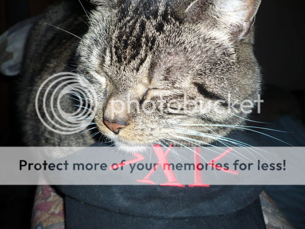 P1000174.jpg?t=1294354396