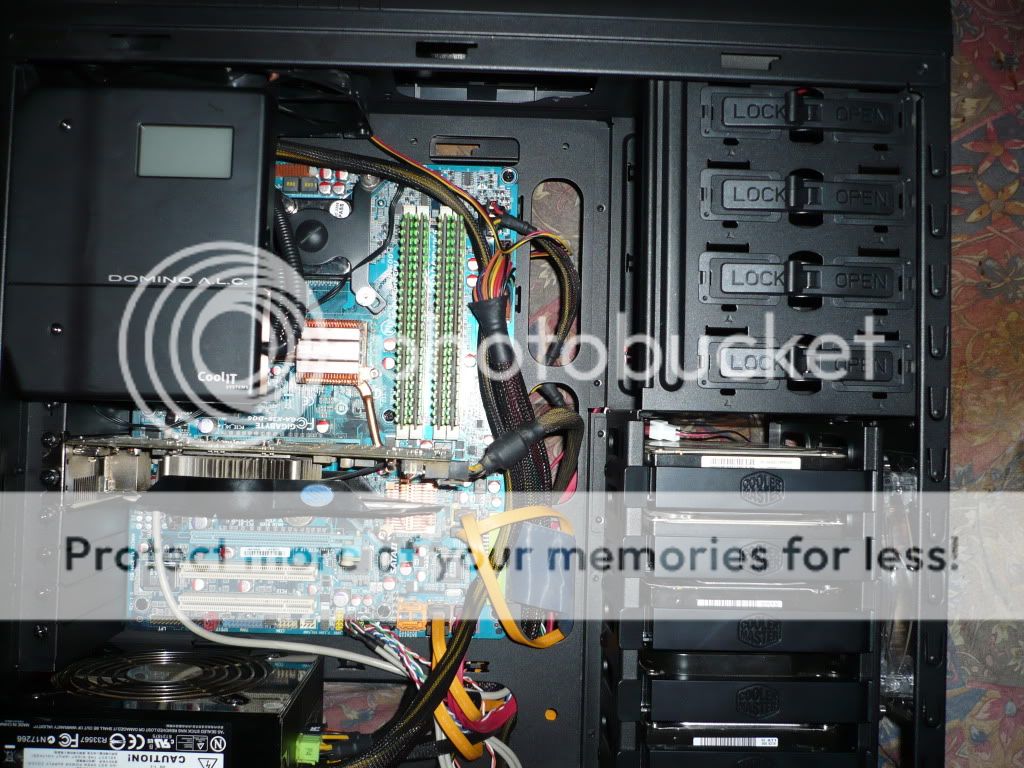 P1000328.jpg picture by X-RayXI