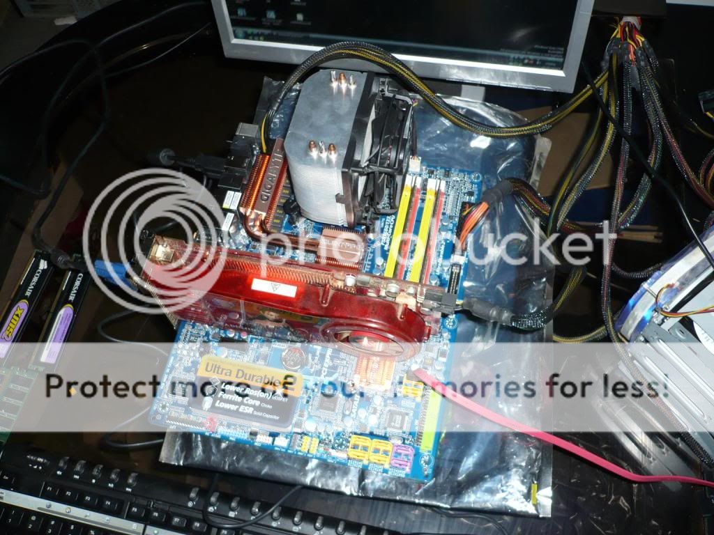 P1000346.jpg picture by X-RayXI