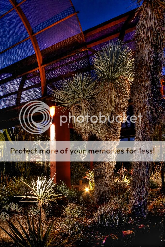 IMAGE: http://i543.photobucket.com/albums/gg450/mosslager/Desert%20Botanical%20Gardens/15.jpg