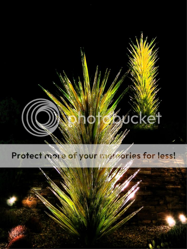 IMAGE: http://i543.photobucket.com/albums/gg450/mosslager/Desert%20Botanical%20Gardens/19.jpg