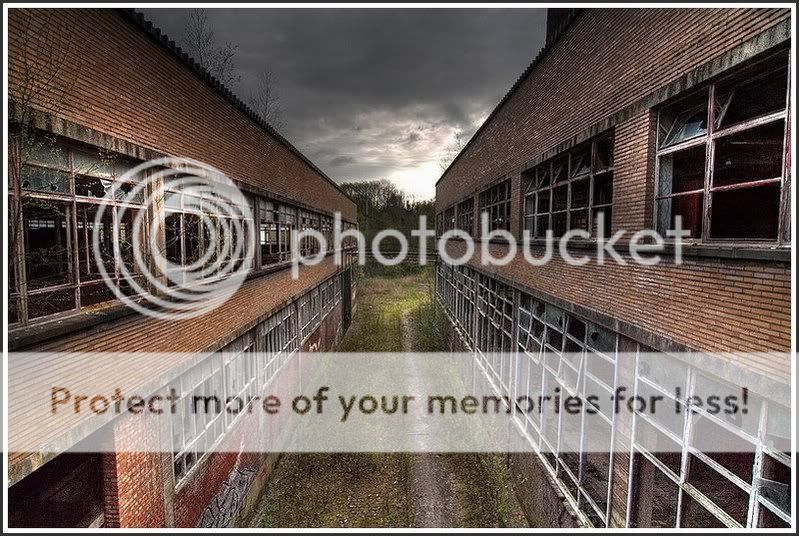 Fotografie