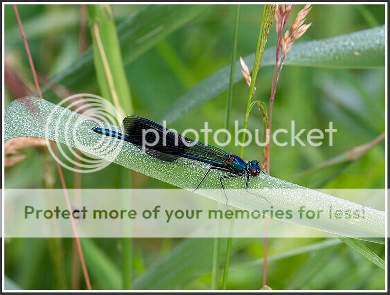 Fotografie