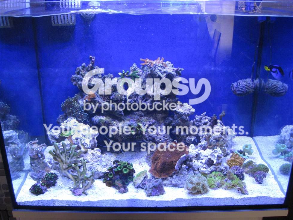 [TodoMarino.com] L&S Nano Reef II