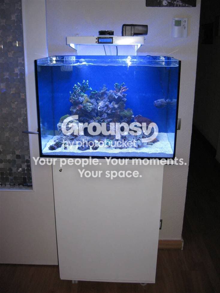 [TodoMarino.com] L&S Nano Reef II