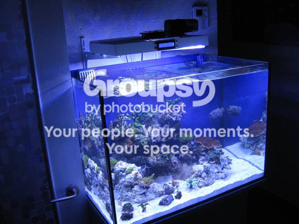 [TodoMarino.com] L&S Nano Reef II