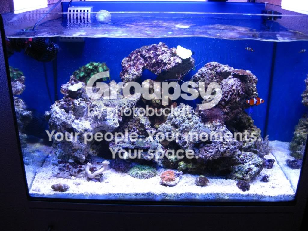 [TodoMarino.com] L&S Reef Return