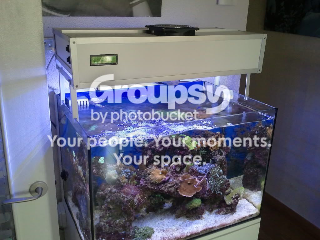 [TodoMarino.com] Controlador L&S Nano Reef